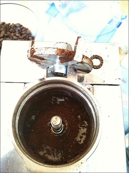 Datei:15-Demoka cleaning Surprise.jpg